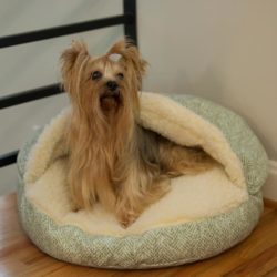 Replacement Cover - Luxury Cozy Cave™ Dog Bed - Show Dog Collection