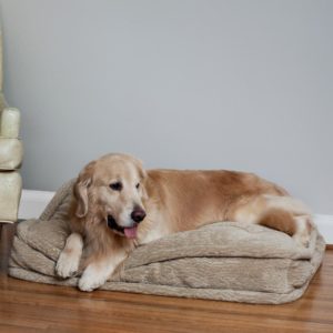 Pillow Top Dog Bed - Show Dog Collection