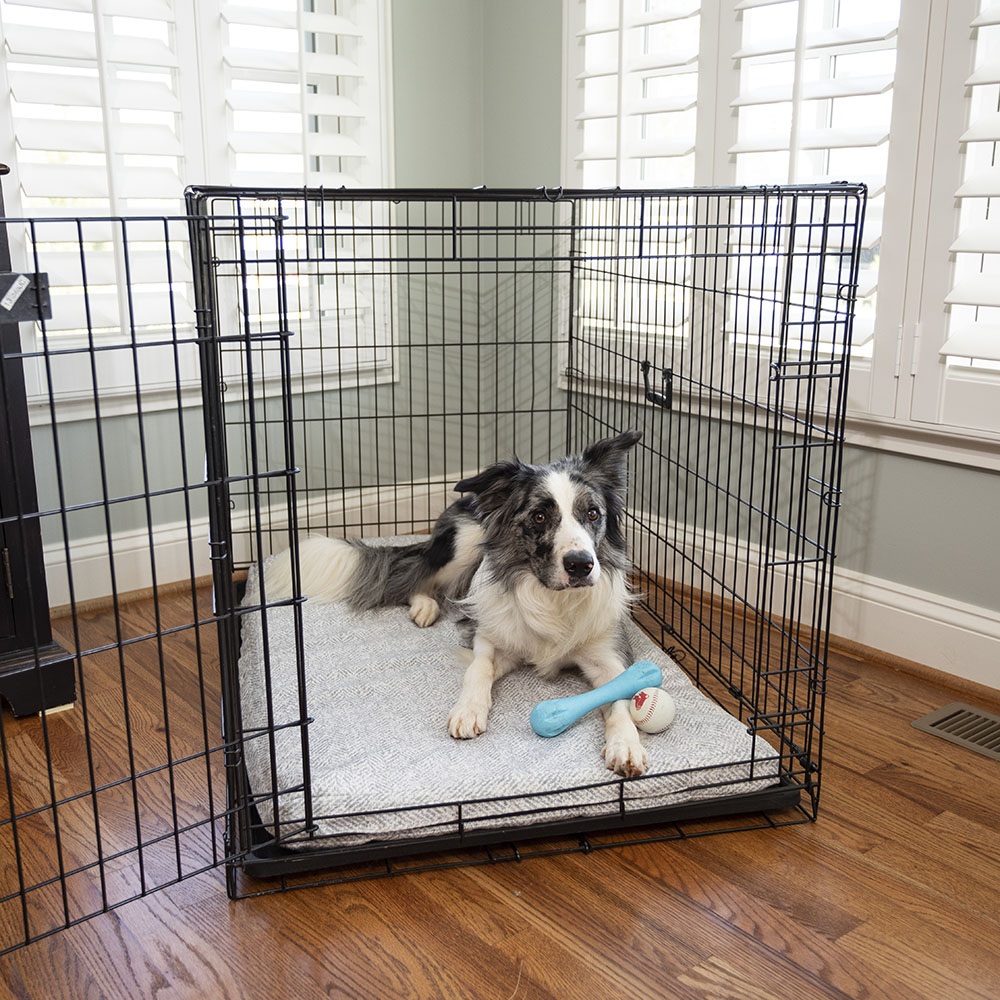 dog cage and bed