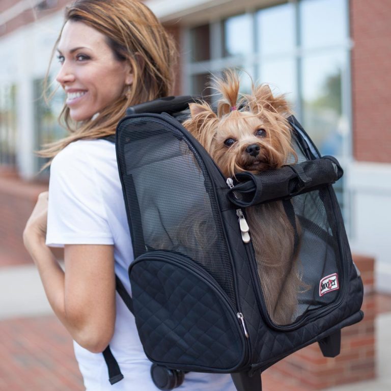 roll around travel pet carrier backpack