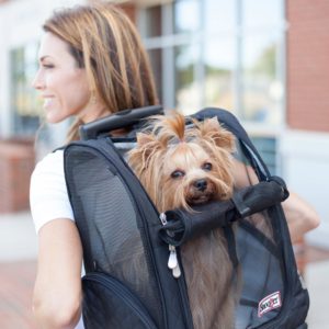 roll around travel pet carrier backpack
