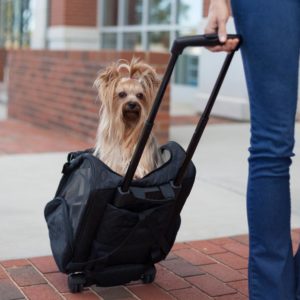 Roll Around Travel Dog Carrier Backpack 4-in-1