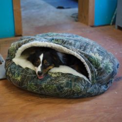 Luxury Cozy Cave™ Dog Bed - Untamed Collection