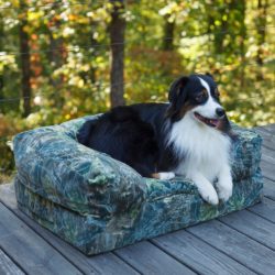 Forgiveness™ Sofa- Untamed Collection