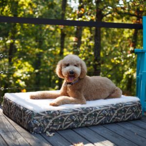 Replacement Cover – Super Orthopedic Lounge Dog Bed w/ Cream Sherpa- Untamed Collection