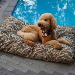 Replacement Cover – Waterproof Rectangle Dog Bed- Untamed Collection