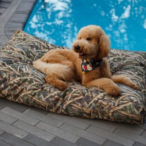 Replacement Cover – Waterproof Rectangle Dog Bed- Untamed Collection