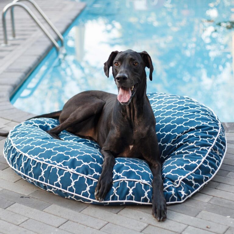 Snoozer Pool & Patio Round Dog Bed | Indoor Outdoor Bed