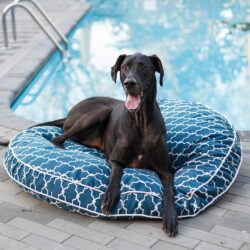 Replacement Cover - Pool & Patio Round Dog Bed
