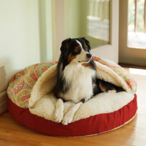 Luxury Orthopedic Cozy Cave™ - Wag Collection