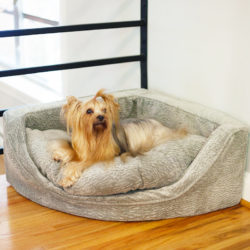 Luxury Overstuffed Corner Dog Bed - The Show Dog Collection