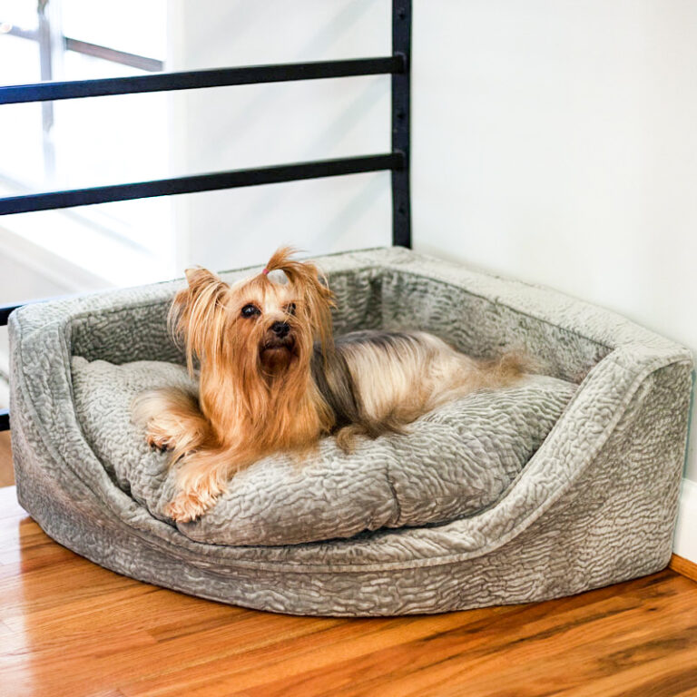 Snoozer Luxury Overstuffed Corner Dog Bed 28+ Colors