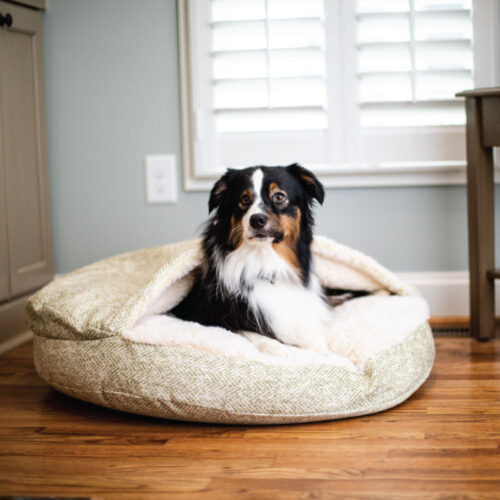 orthopedic-luxury-cozy-cave-dog-bed-snoozer-pet-products-palmer-citron
