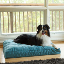 Replacement Cover - Orthopedic Pillow Top Dog Bed