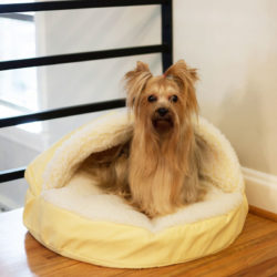 Replacement Cover - Luxury Cozy Cave™ Dog Bed with Microsuede