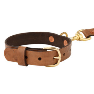 Handmade Leather Collar - Golden Oak