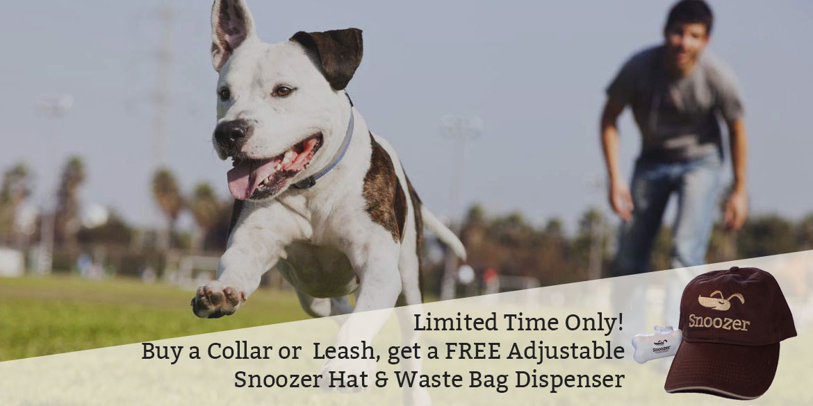 Snoozer Dog Beds Dog Car Seats Carriers 100's of Fabrics