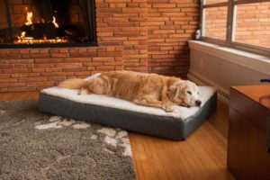 Snoozer Super Orthopedic Lounge