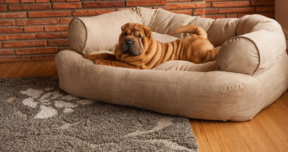Ultimate Luxury: French Bulldog Snoozing in Stylish LV Red Dog Bed #do