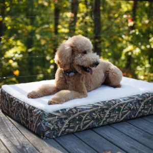 Snoozer Super Orthopedic Lounge