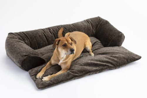 Doggy Daybed With Support Bolsters