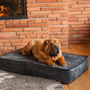 Outlast - Temperature Regulating Dog Bed