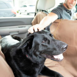 heavy duty dog hammock