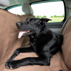 heavy duty dog car hammock