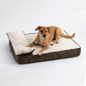 Laurel Mocha Buckskin Chillout