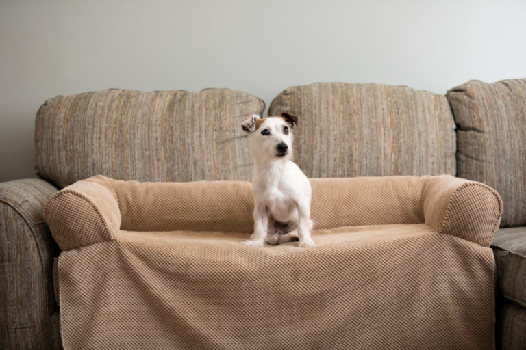 Snoozer Couch Companion Bolstered Sofa Throw