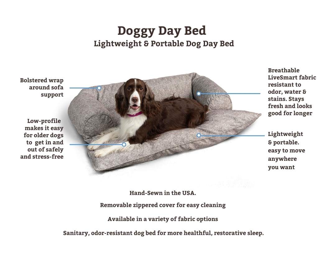 Low profile best sale dog bed