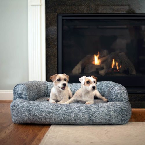Luxury Sleeper Sofa - Show Dog Collection