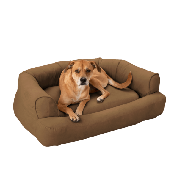 Snoozer Luxury Sleeper Sofa with Microsuede | Luxury Dog Beds