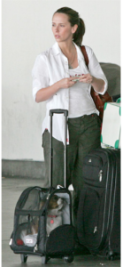 jennifer-love-hewitt-dog-in-snoozer-roll-around-pet-carrier