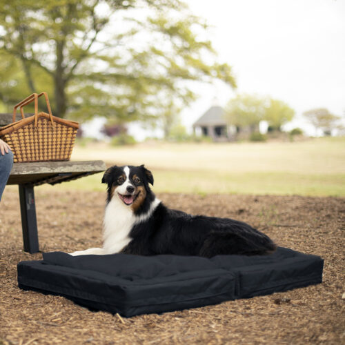 Snoozer Travel Mate Outdoor Dog Bed
