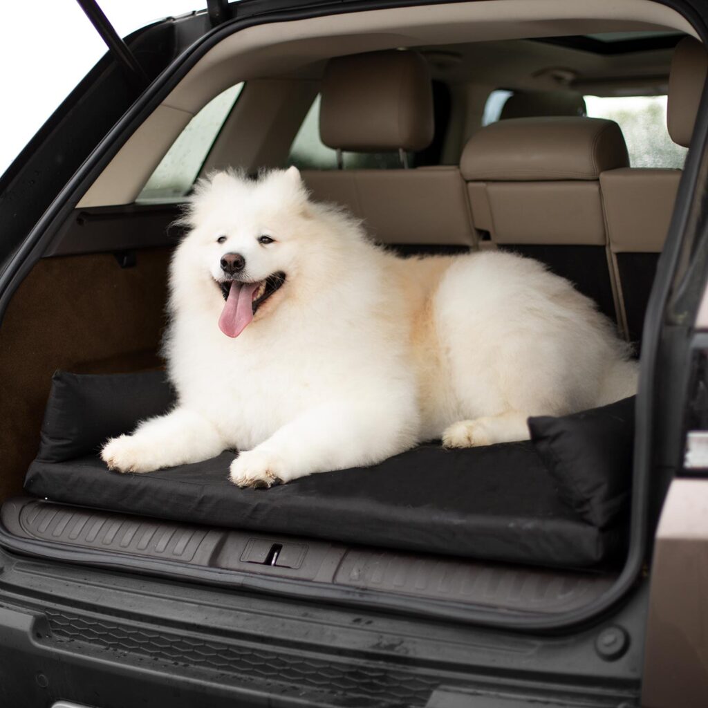 Keep dogs in back of cheap suv