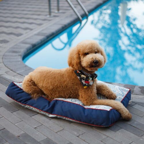 Pool & Patio Rectangle Replacement Pillow - Snoozer Pet Products