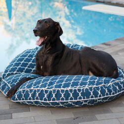 Pool & Patio Round Replacement Pillow - Snoozer Pet Products