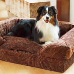 Orthopedic Dog Beds & Products