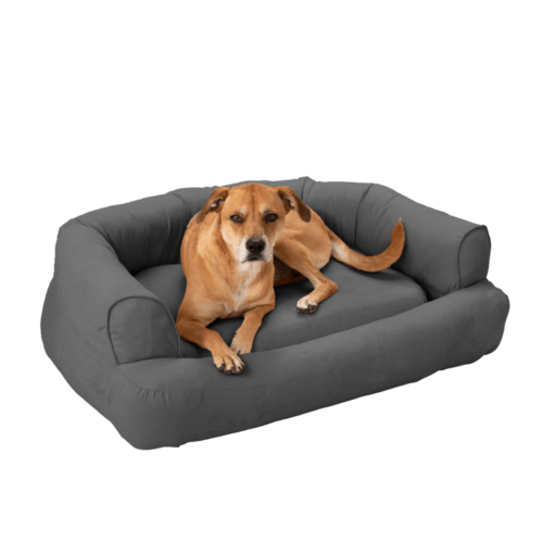 snoozer-luxury-sleeper-dog-sofa_anthracite