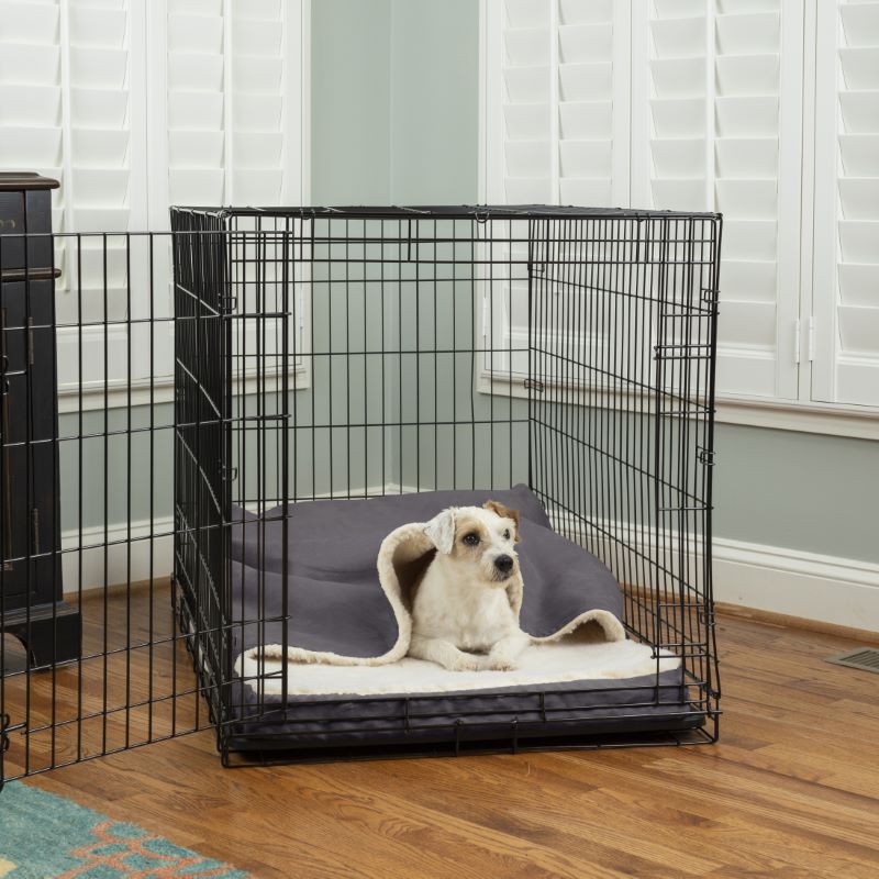 thumbnail image 2 of Buy Flat Dog Bed Amazon Outlet Amazon Bedsure Washable Dog Crate Bed For Large Dogs Reversible Foam Floor Dog Mat Lightweight Travel Flat Pet Beds For Indoor Outdoor Dogs 35 X 23 2 of 14