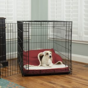 CozyCrate_Forgiveness_Environment-Red_SQ