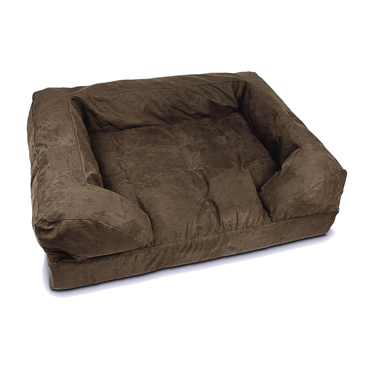 Why do dogs pee on beds?