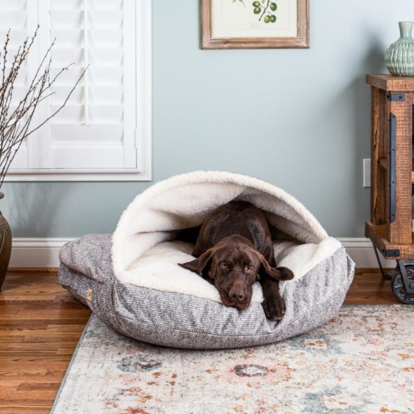 Show Dog Collection | Dog Beds, Dog Car Seats & More | Snoozer Pet Products