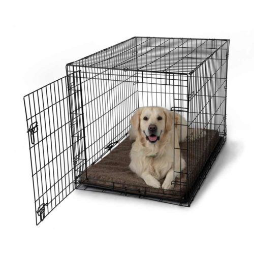 Large-Forgiveness-Cozy-Crate-Merlin-Camel-1