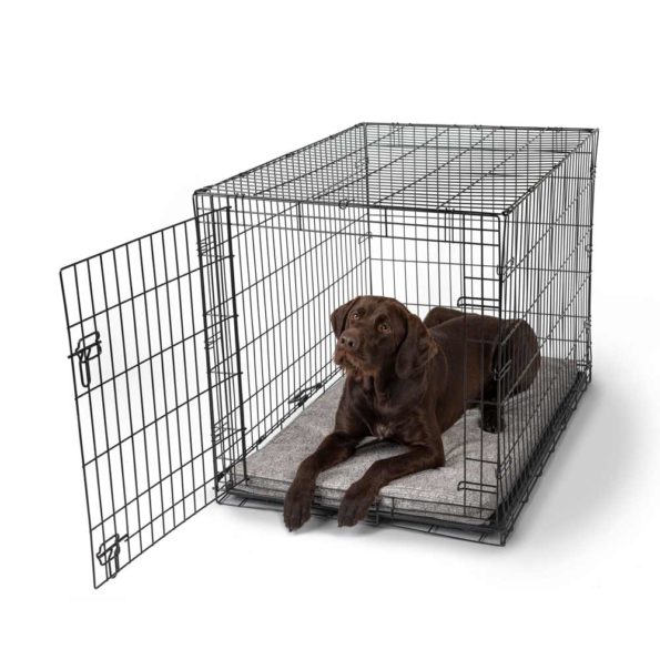 Dog Crate For Pet Show Participants preview