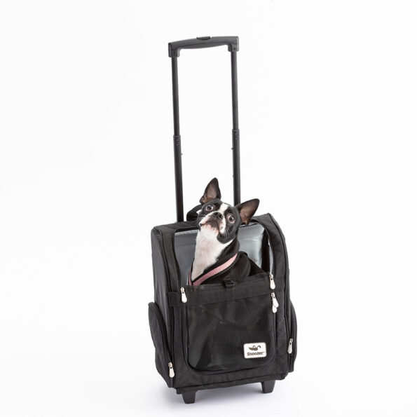 Roll Around Travel Dog Carrier Backpack Snoozer Pet Products
