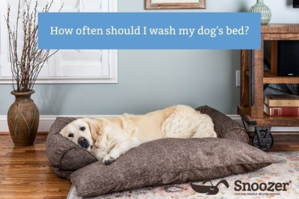How to Wash a Dog Bed | Snoozer Pet Products