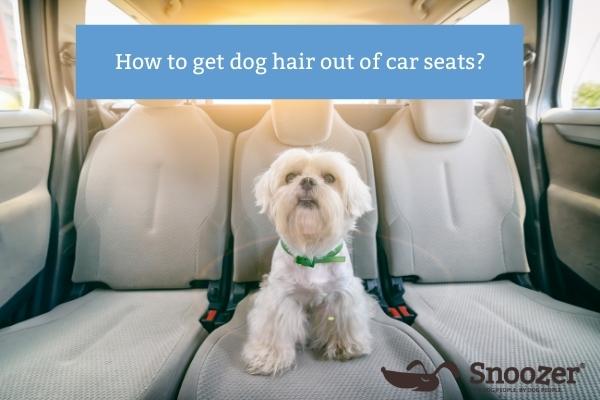 How to get dog hair out of car seats - Snoozer Pet Products