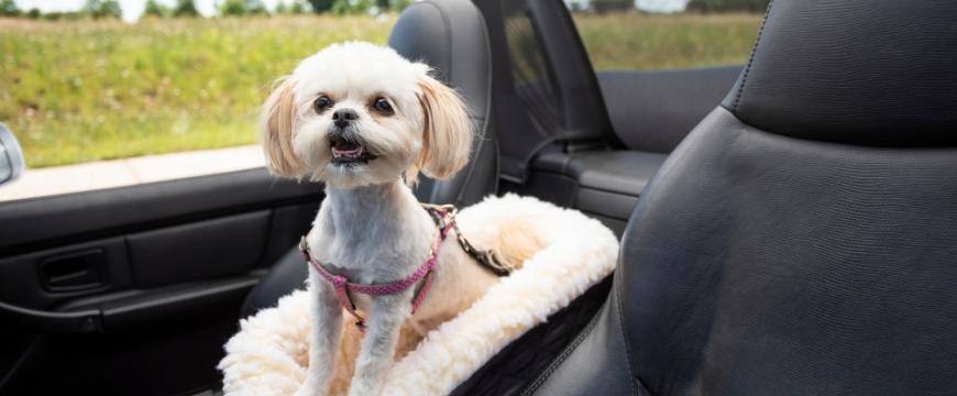 Console Dog Car Seats Snoozer Pet, Snoozer Dog Car Seat Console